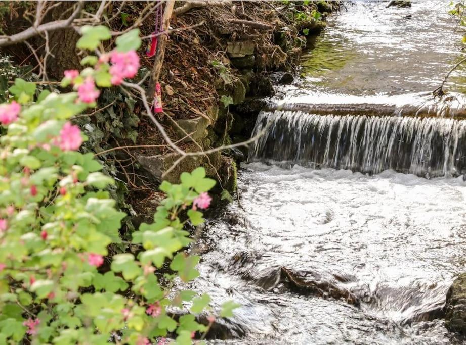 Babbling Brook Cottage Stony Middleton Extérieur photo